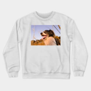 catch those sunbeam Crewneck Sweatshirt